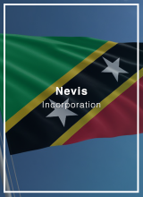 set up a company in nevis