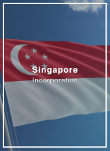 set up a company in singapore